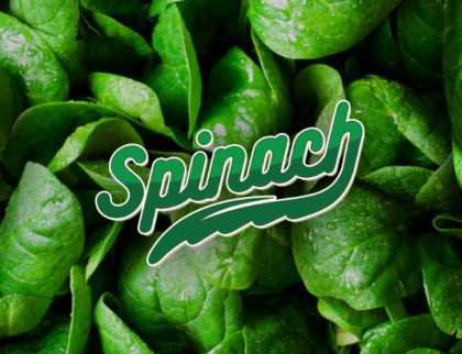 Spinach - Brand - tolktalk