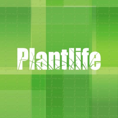 Plantlife - 360-4 McLeod Avenue | Store